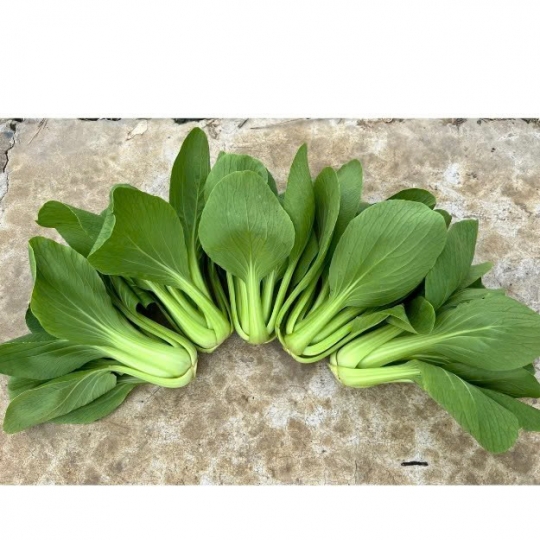 Cải thìa Spoon H689